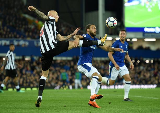 的转会窗口 的转会窗口