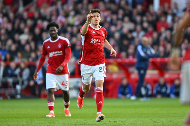 不仅仅是W 不仅仅是W